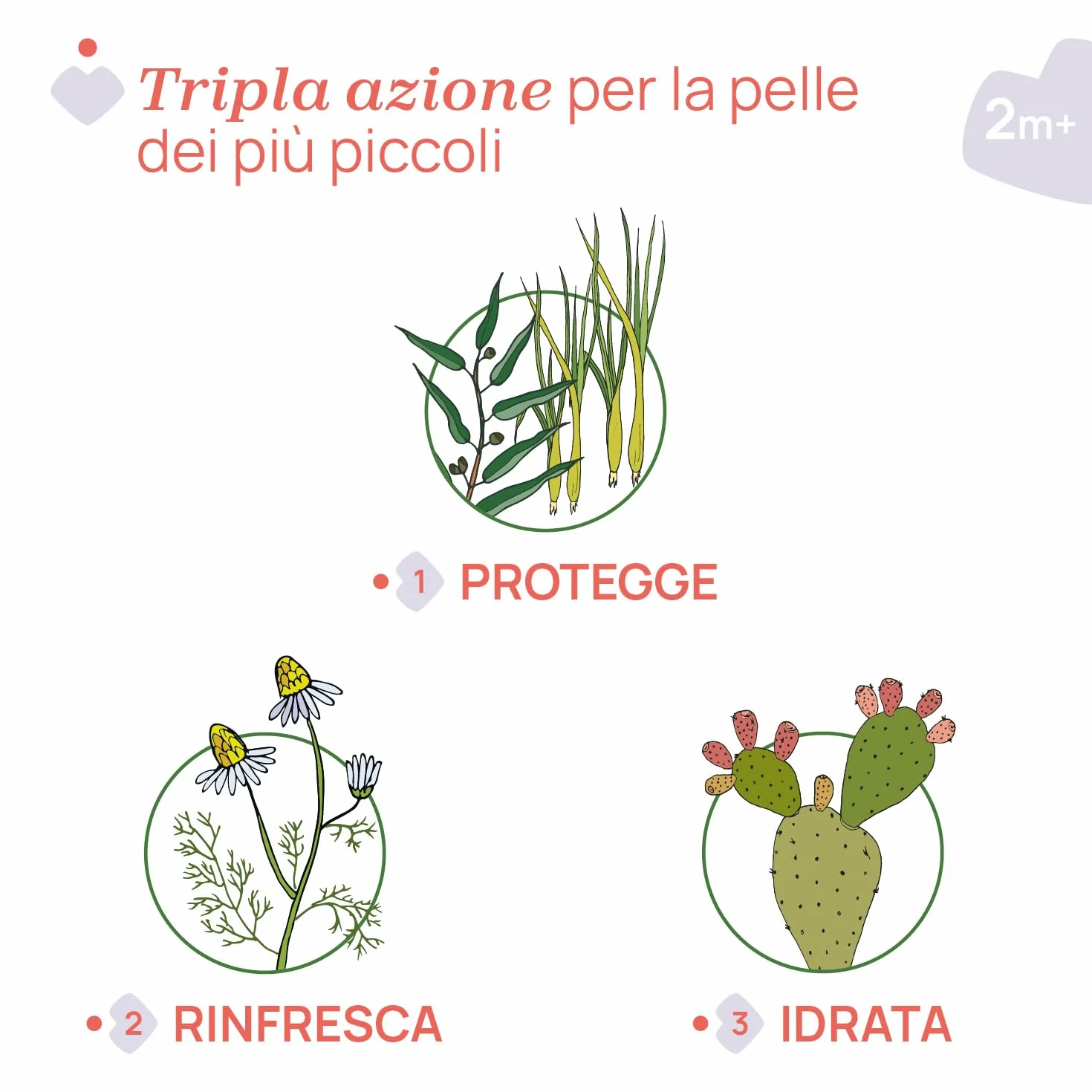 Chicco NaturalZ Roll On Protettivo 60 ml Repellente Zanzare Citronella Eucalipto