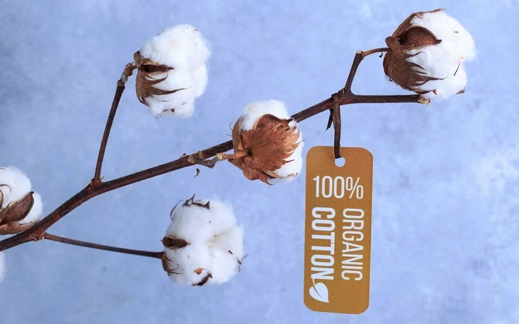 BabyBjörn Balance Soft Fodera per amaca anallergica traspirante cotone biologico