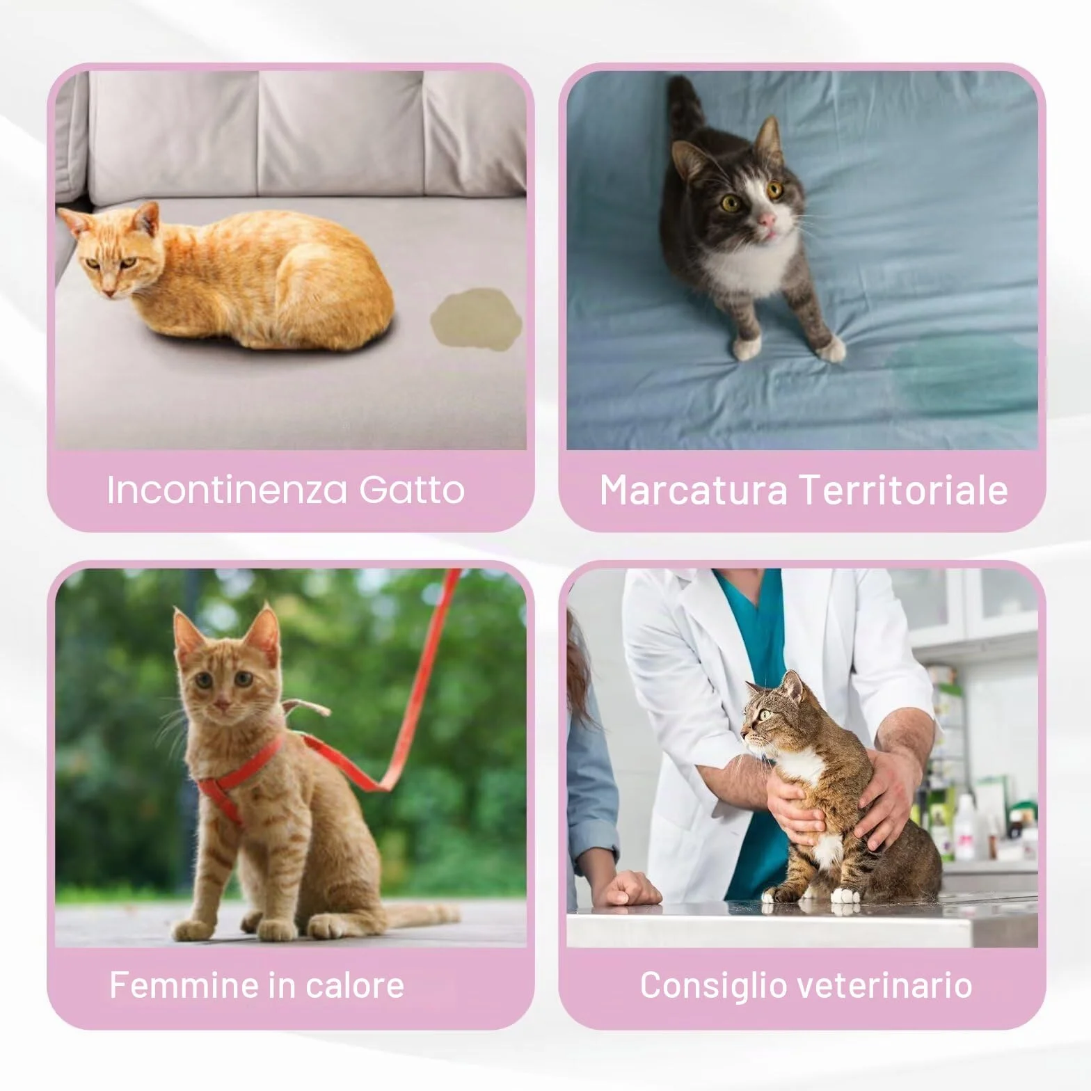Paw Legend Pannolini per gatti lavabili e riutilizzabili, confezione da 3 XS