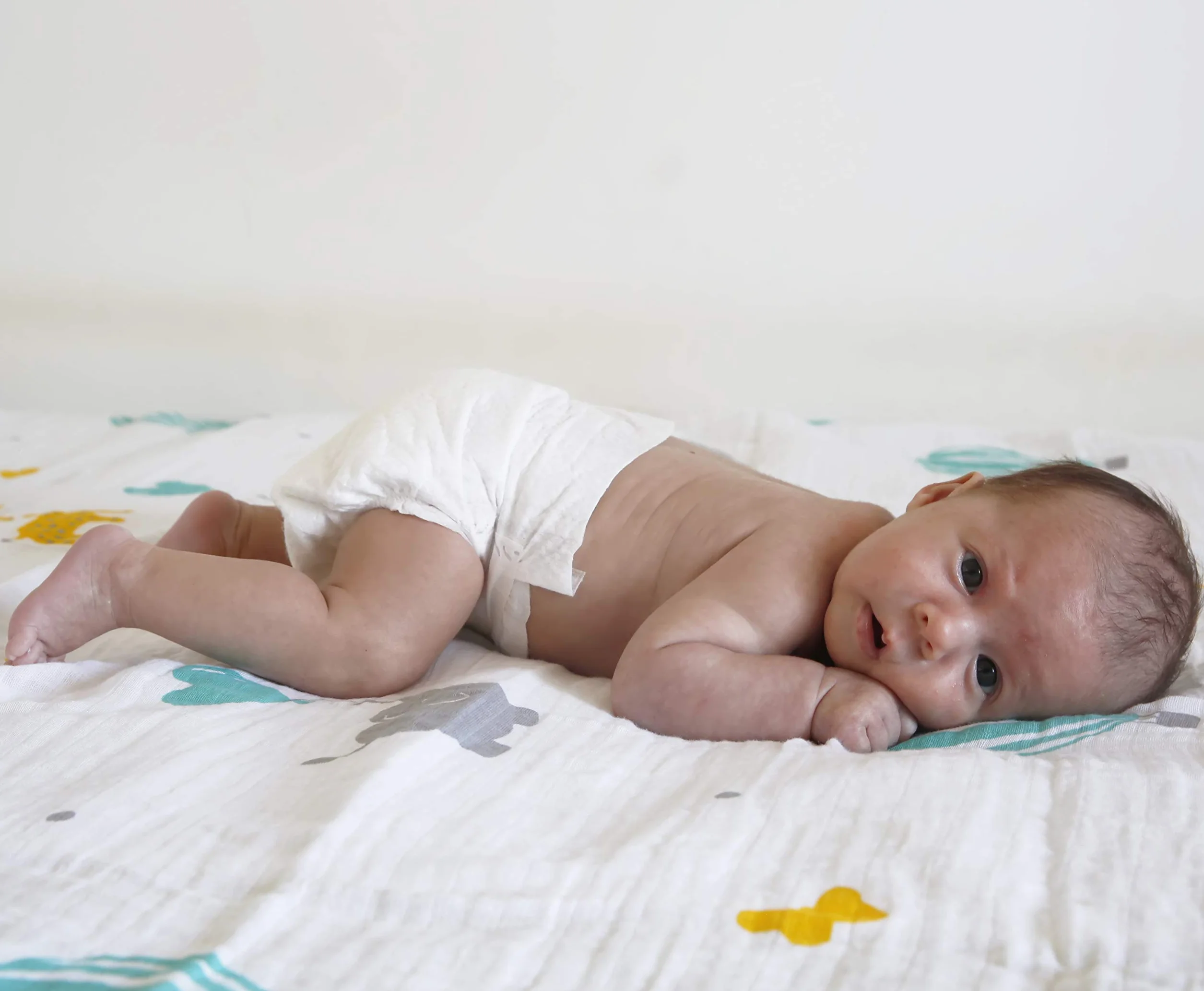 HOMYBABY® Mussola Bebe Cotone Biologico 120x120 - Coperta Neonato Salvietta Mantita