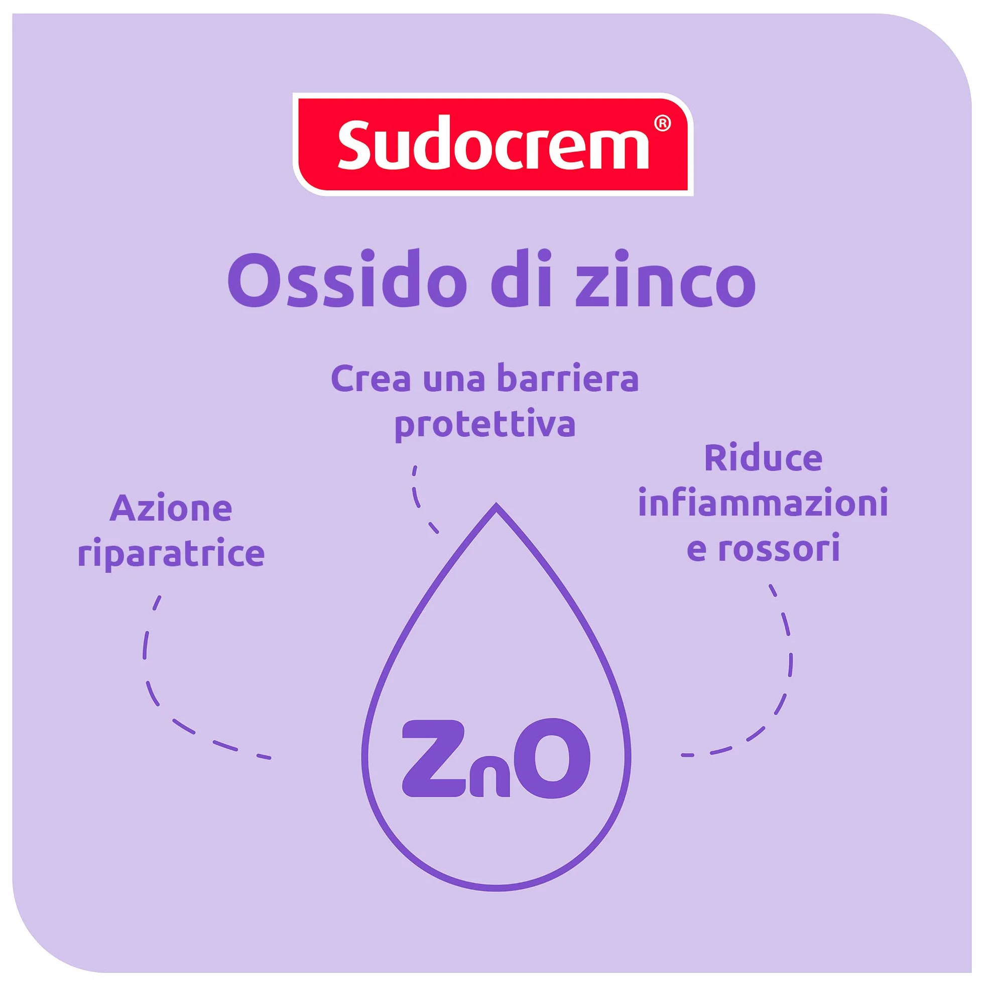 Sudocrem Pasta Lenitiva Protettiva 125 gr