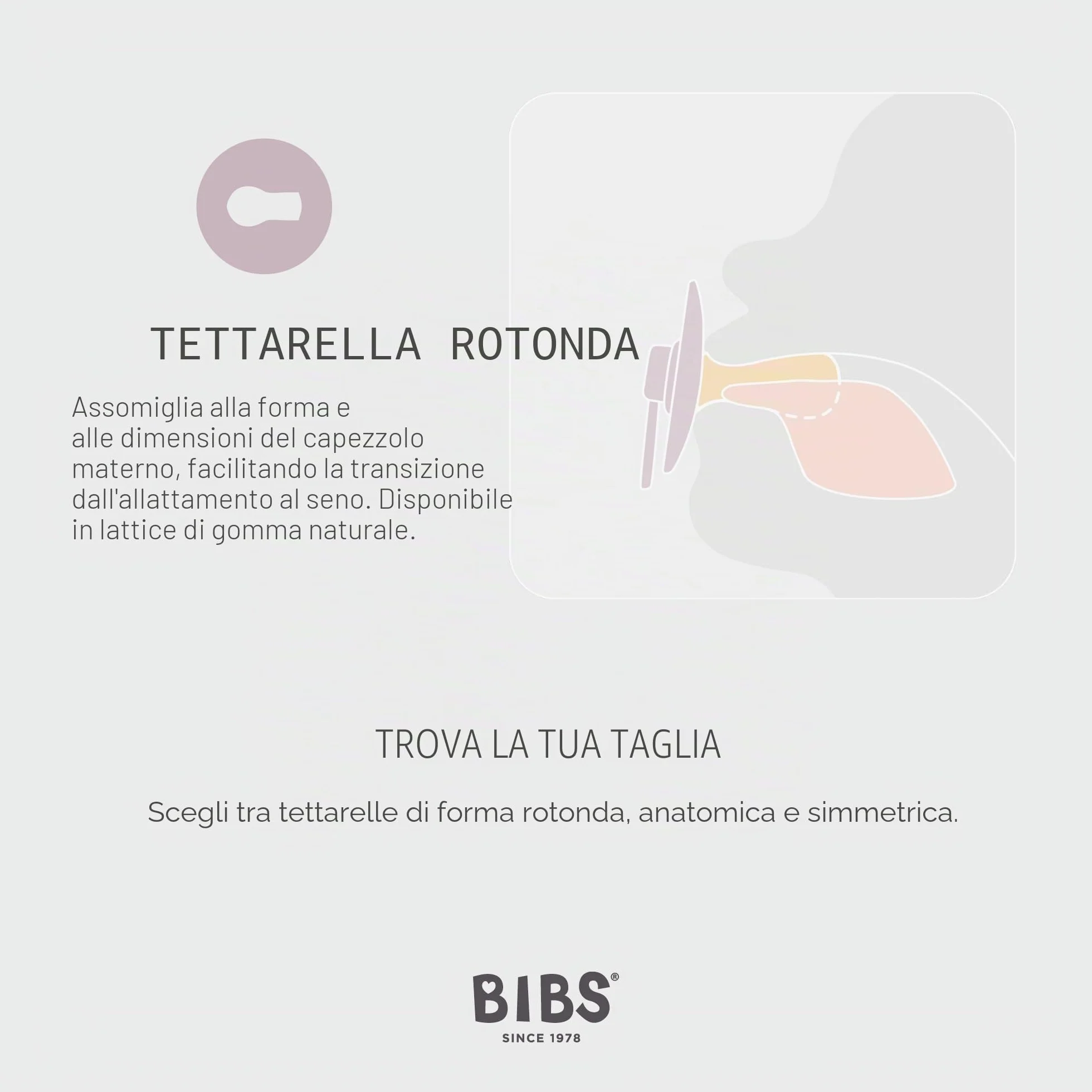 BIBS Colour Ciuccio 2 Pezzi Privo di BPA Tettarella Tonda Lattice Gomma Naturale Misura 1 (0-6 mesi) Ivory/Sage
