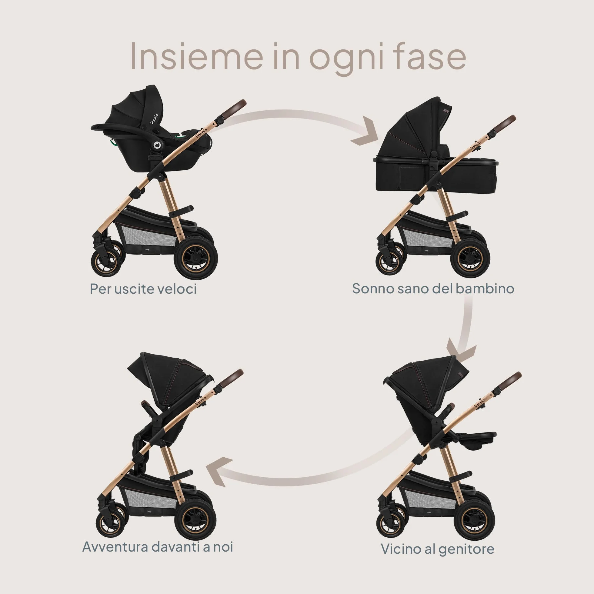 LIONELO Amber Passeggino Trio 3-in-1 0-22 kg Pieghevole Regolabile Ruote Grandi Cappotina XXL