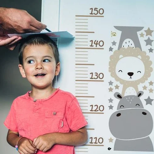 Adesivi Murali Metri Da Parete Altezza Grafico Animali Bambini Rimovibile Misurare Cameretta DIY