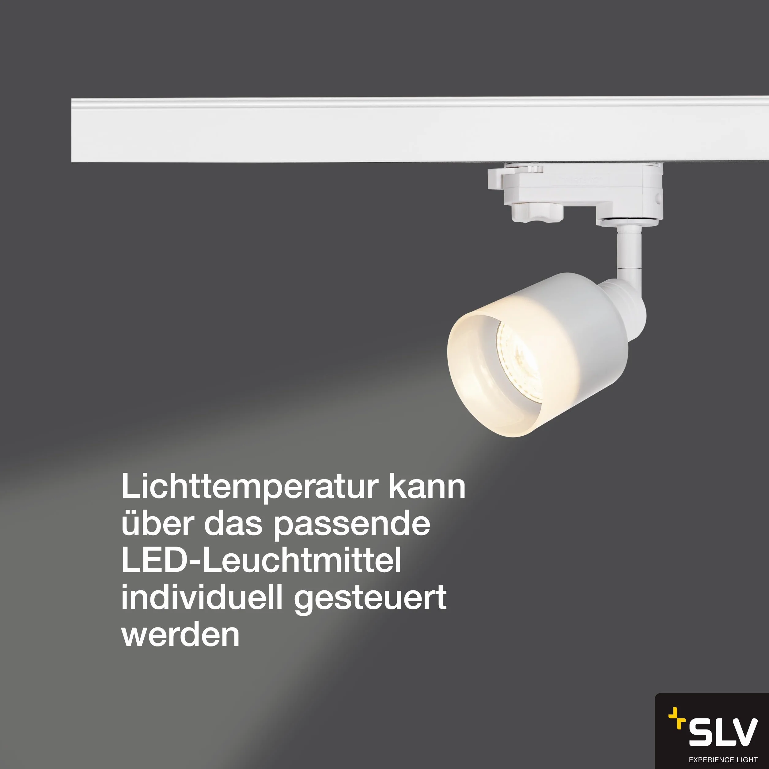 SLV faretto sistema trifase PURI TRACK QPAR51 vetro/faretto, spot LED, faretto a plafone, sistema a binari, illuminazione di interni / GU10 10W bianco