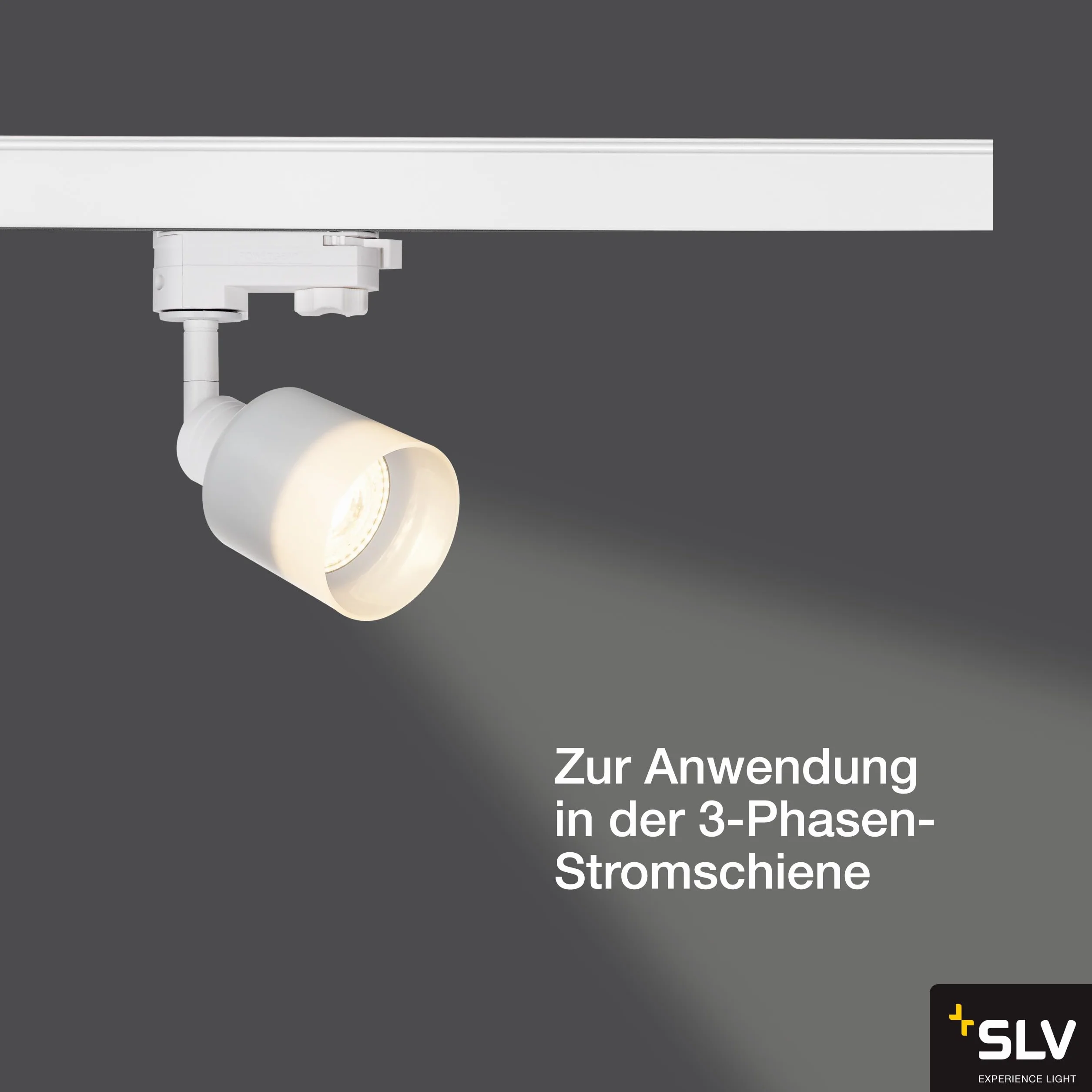 SLV faretto sistema trifase PURI TRACK QPAR51 vetro/faretto, spot LED, faretto a plafone, sistema a binari, illuminazione di interni / GU10 10W bianco