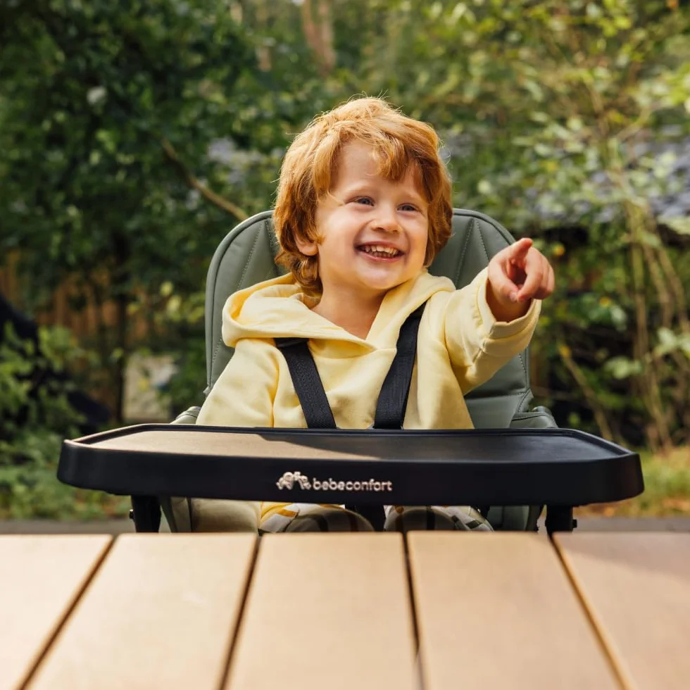 Bebeconfort Lily Seggiolone Pappa Pieghevole Viaggio, 6 mesi-3 anni, 9-15 kg, 4 kg, Tinted Graphite