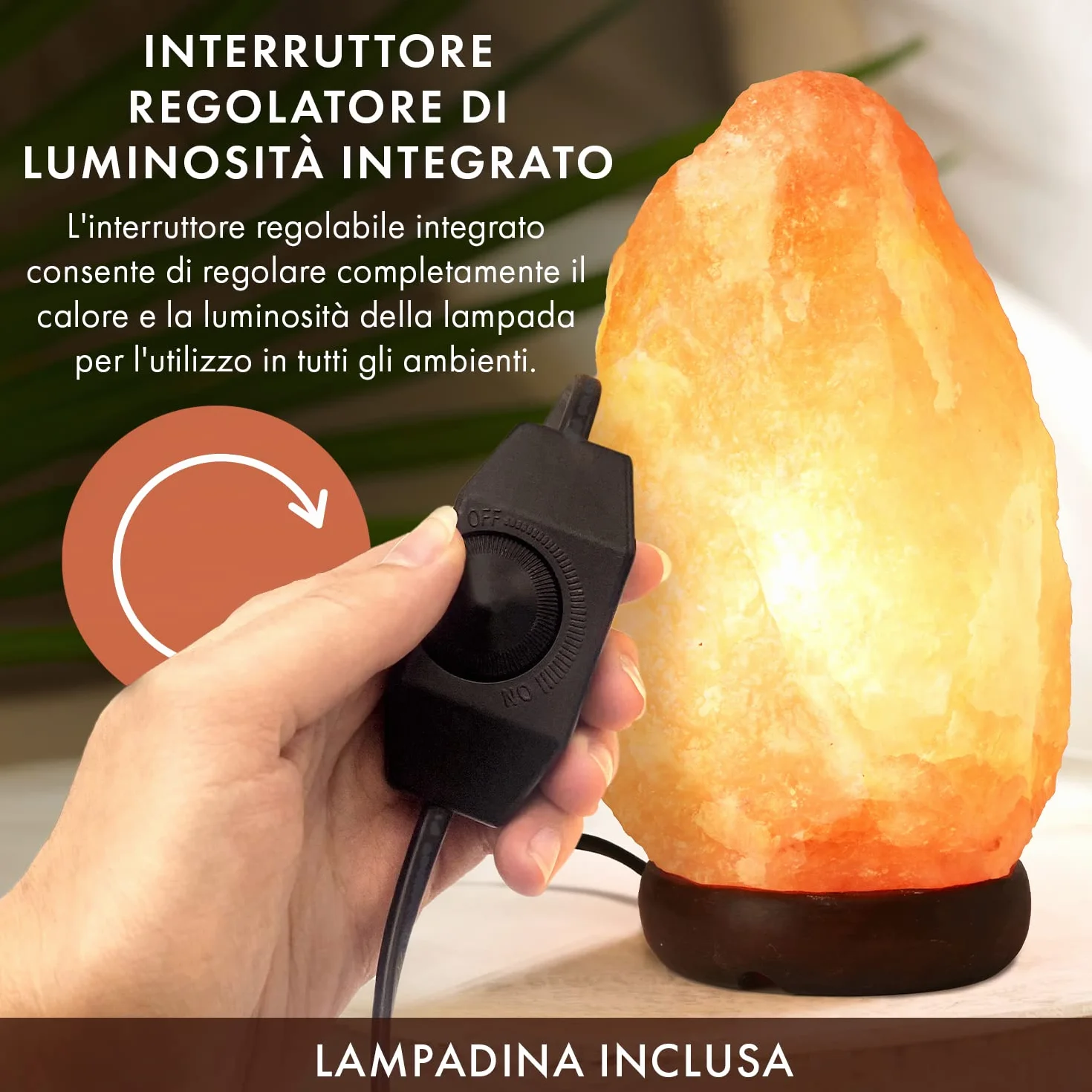 the body source Lampada di Sale Himalayano (3-5 kg) con Varialuce, Completamente Naturale e Realizzata a Mano con Base in Legno
