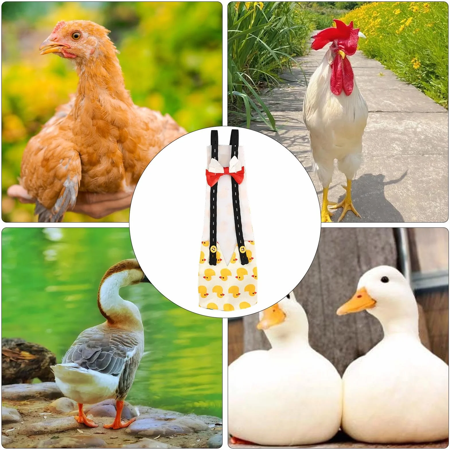 Pannolini per galline anatre riutilizzabili lavabili papillon tessuto stampato pollame domestico